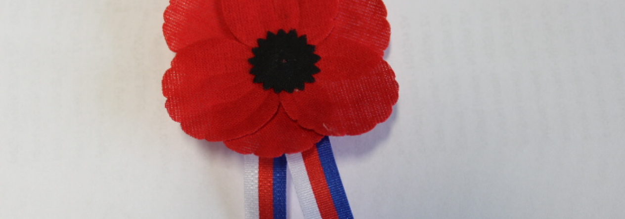 Květ vlčího máku je symbolem Dne válečných veteránů