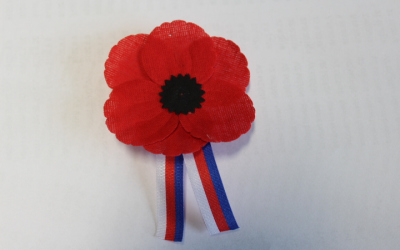 Květ vlčího máku je symbolem Dne válečných veteránů