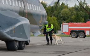 Policie při ohledání letounu na přítomnost drog používá služební psy.